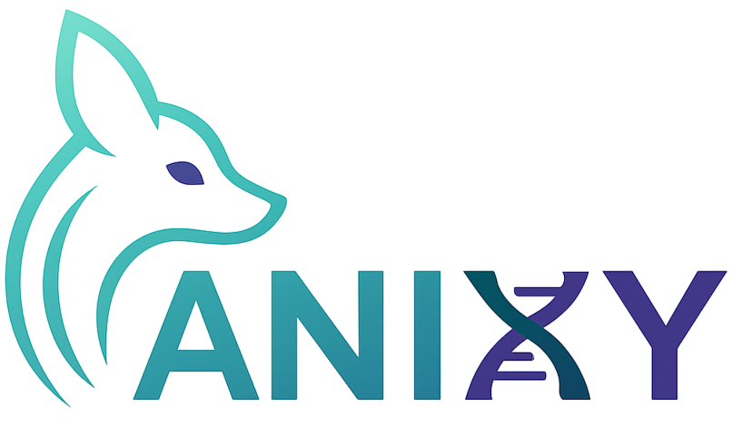 Anixy